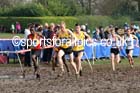 Trudge through the mud during the senior mens Inter Counties Cross Country, Cofton Park, Birmingham. Photo: David T. Hewitson/Sports for All Pics
